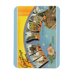 New York Magnet