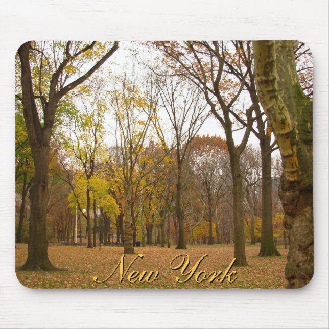 New York Mousepad Central Park New York Gifts (Front)