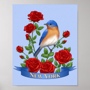 New York State Bird and Flower Poster