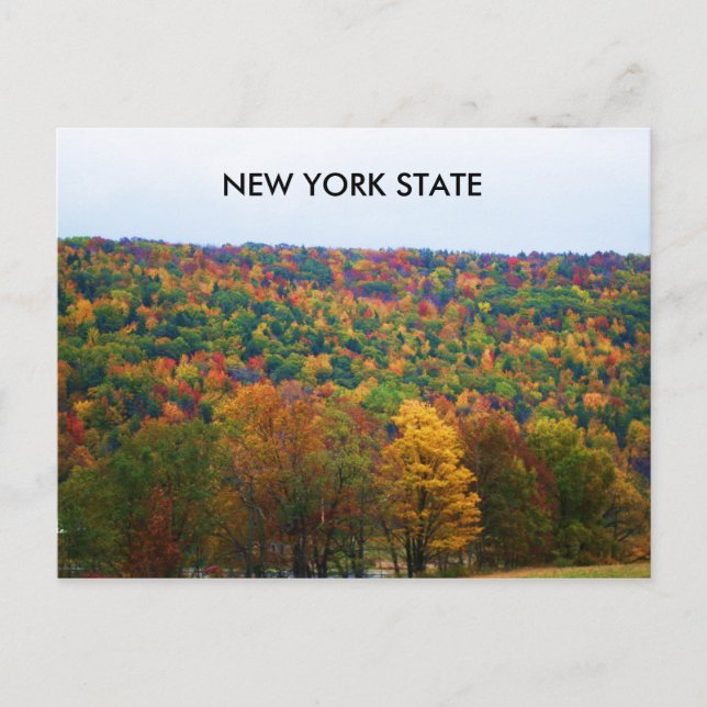 NEW YORK STATE EN AUTOMNE carte postale (Devant)