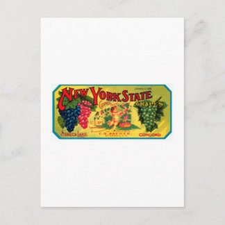 New York State Grapes Postcard