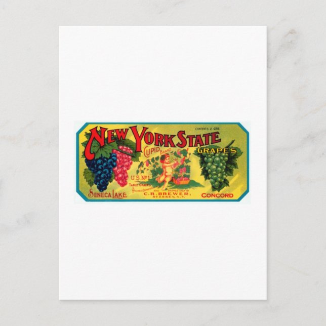 New York State Grapes Postcard (Front)