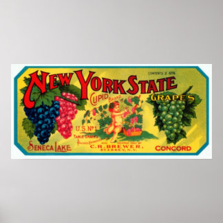 New York State Grapes Poster