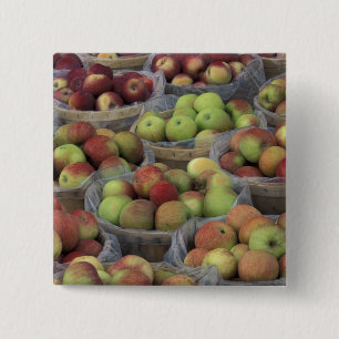 New York State Macintosh apples in baskets 2 Inch Square Button