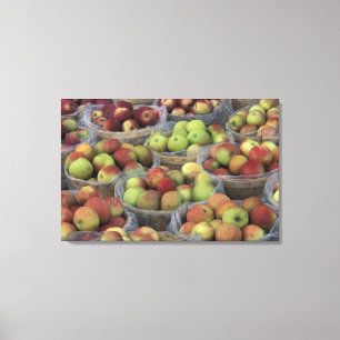 New York State Macintosh apples in baskets Canvas Print