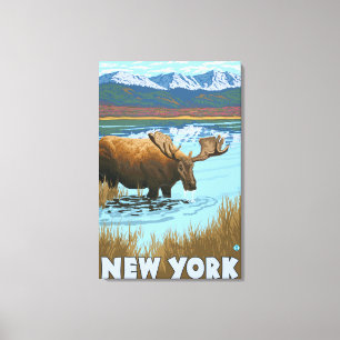 New YorkMoose Drinking in Lake Canvas Print