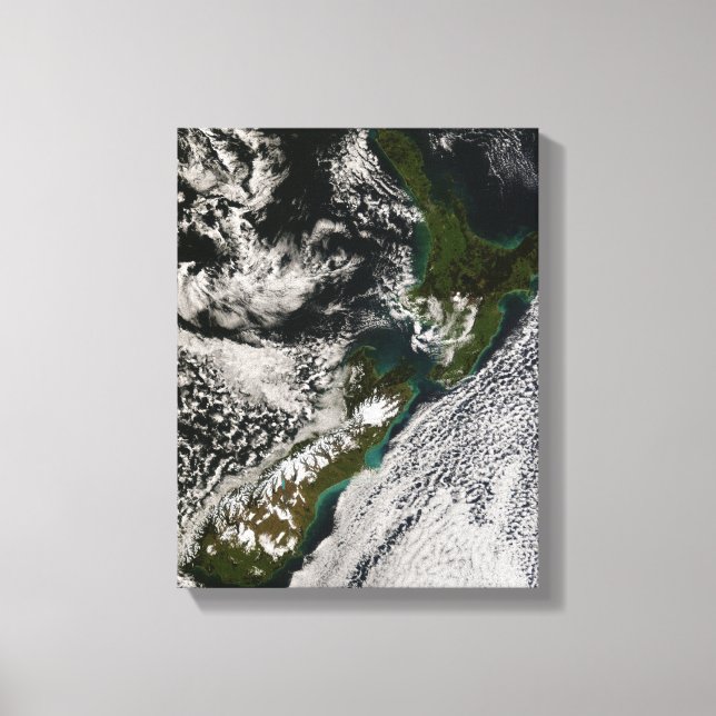 New Zealand 5 Canvas Print (Front)