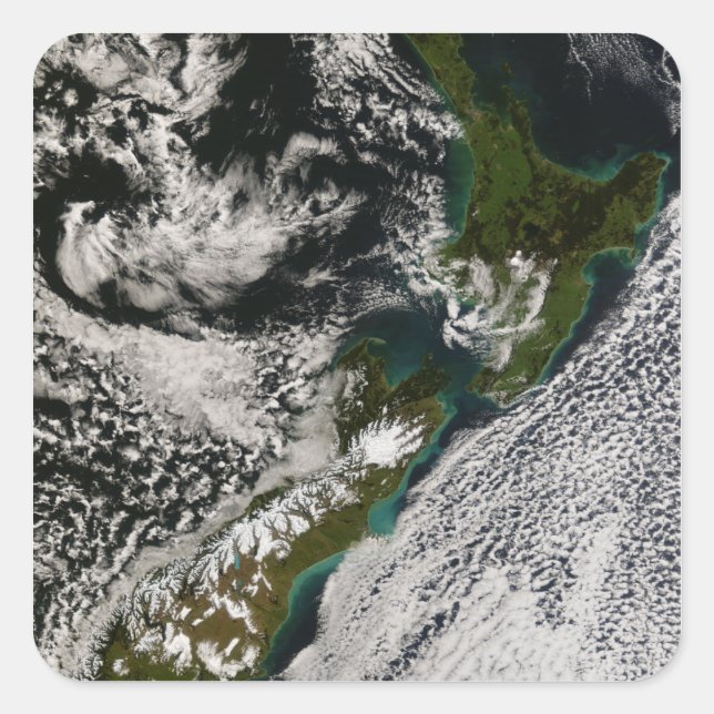 New Zealand 5 Square Sticker (Front)