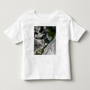 New Zealand 5 Toddler T-shirt