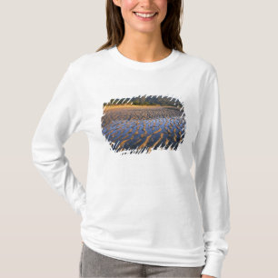 New Zealand, Abel Tasman National Park, Coast 2 T-Shirt