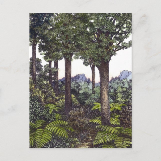 New Zealand Bush Postcard (Front)