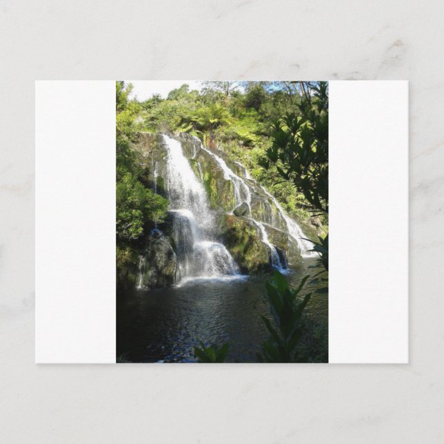 New Zealand by Nature Postcard (Front)