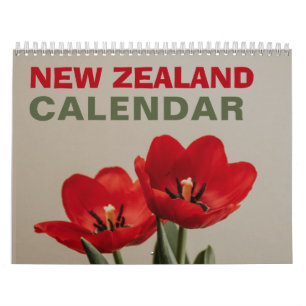 New Zealand Calendar with Holidays 2025