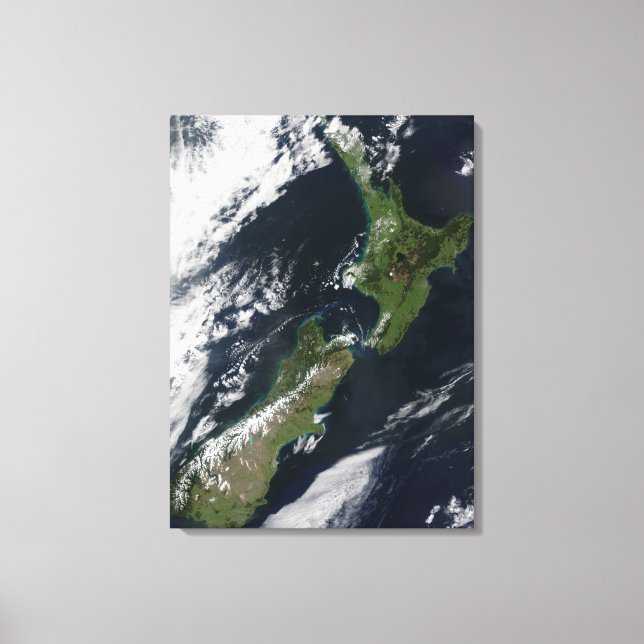 New Zealand Canvas Print (Front)