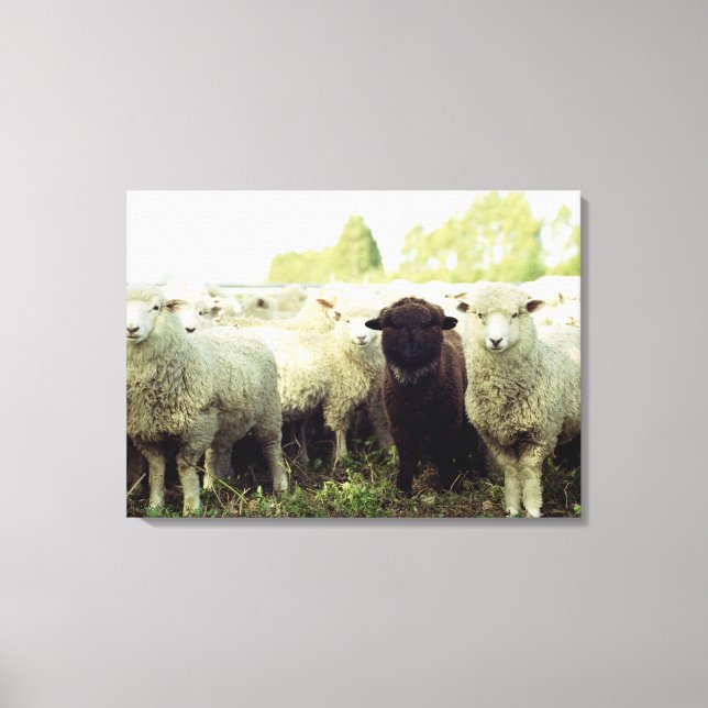 New Zealand Canvas Print (Front)