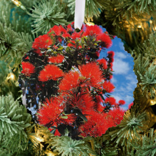 New Zealand Christmas tree  Ornament Card