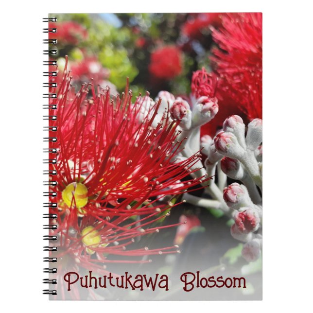 New Zealand Christmas Tree Red Blossoms Notebook (Front)
