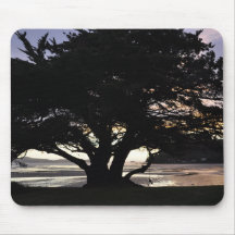 New Zealand - Coromandel Peninsula Sunset