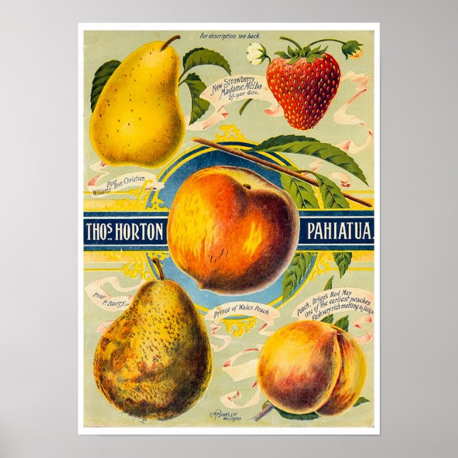 New Zealand Fruit Print (Front)