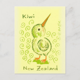 New Zealand Kiwi Bird Postcard