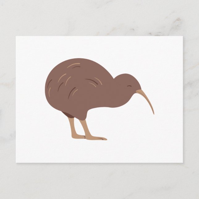 New Zealand Kiwi Postcard (Front)
