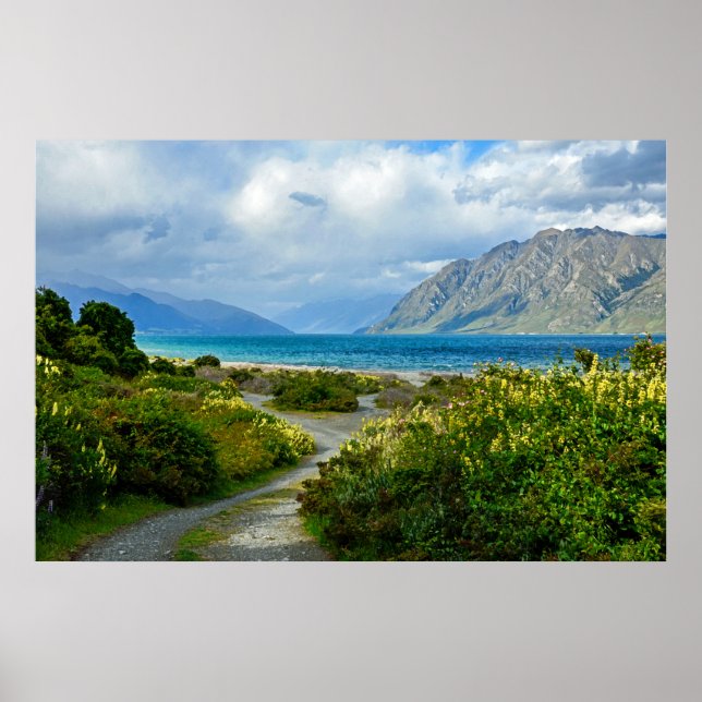 New Zealand Landscape Poster (Front)