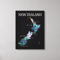NEW ZEALAND MAP PAUA