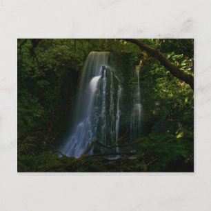 New Zealand: Matai Falls Postcard