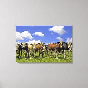 New Zealand, North Island, Auckland Canvas Print