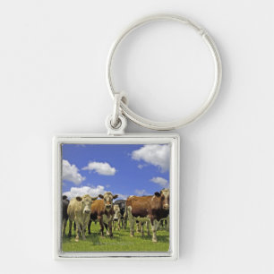 New Zealand, North Island, Auckland Keychain