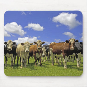 New Zealand, North Island, Auckland Mouse Pad