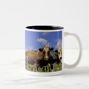 New Zealand, North Island, Auckland Two-Tone Coffee Mug