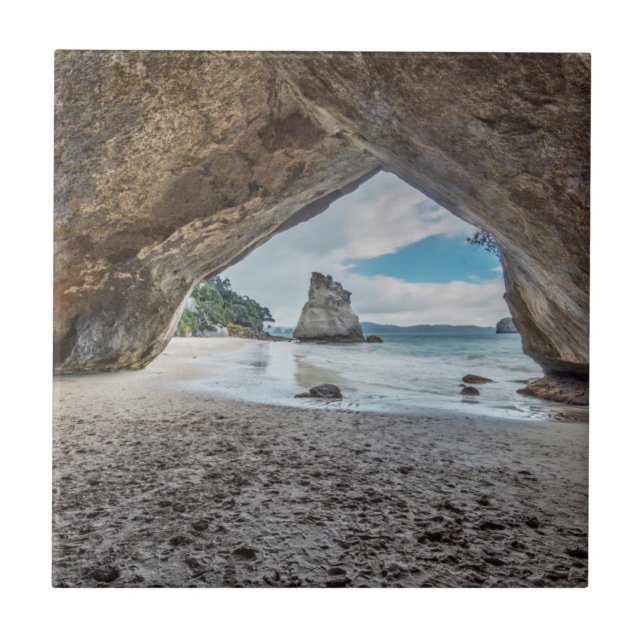 New Zealand, North Island, Coromandel Peninsula Tile (Front)