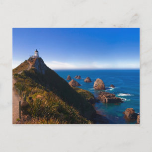 New Zealand: Nugget Point Postcard