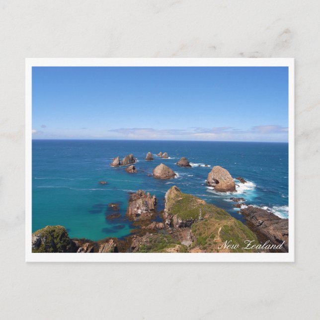 New Zealand, Nugget Point Rock Circle, holiday Postcard (Front)