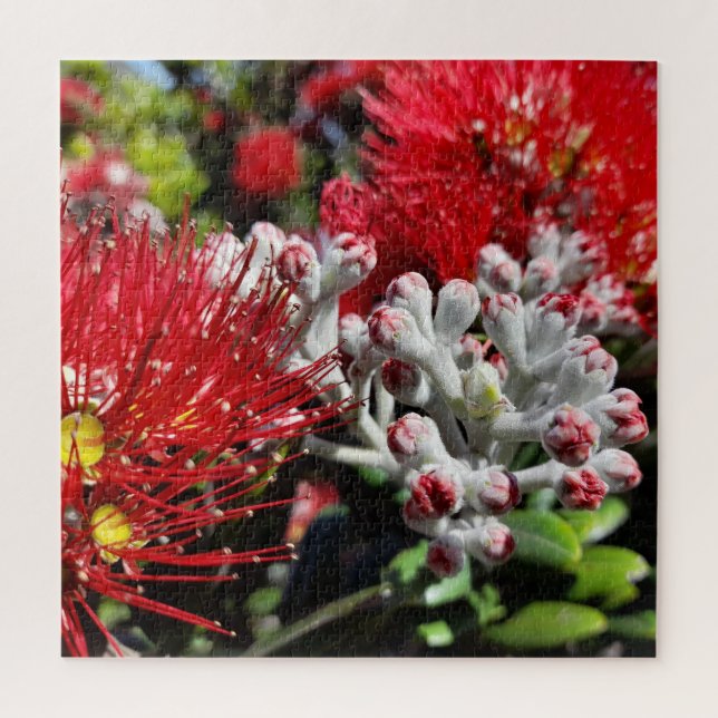 New Zealand Pohutukawa Tree Red Blooming Flower Jigsaw Puzzle (Vertical)