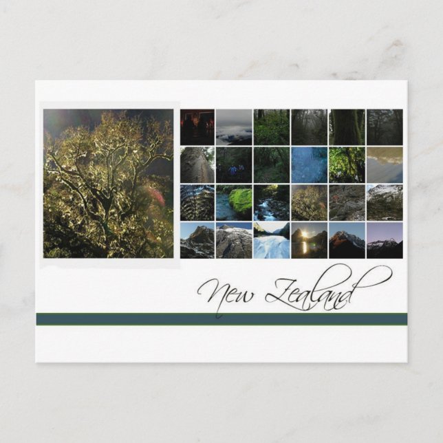 New Zealand Postcard (Front)