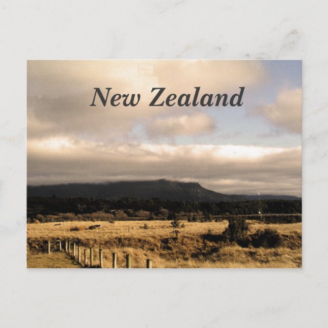 New Zealand Postcard (Front)