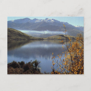 New Zealand Postcard