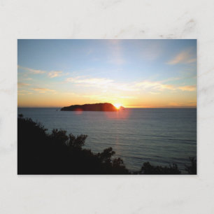 New Zealand Postcards
