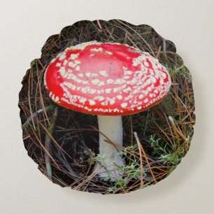 New Zealand, Rotorua, Taupo Volcanic Zone Round Pillow
