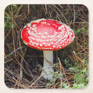 New Zealand, Rotorua, Taupo Volcanic Zone Square Paper Coaster