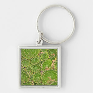 New Zealand, South Island. Succulent. Keychain