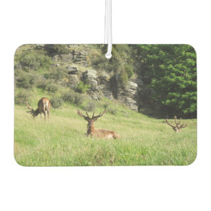 New Zealand Stags Air Freshener