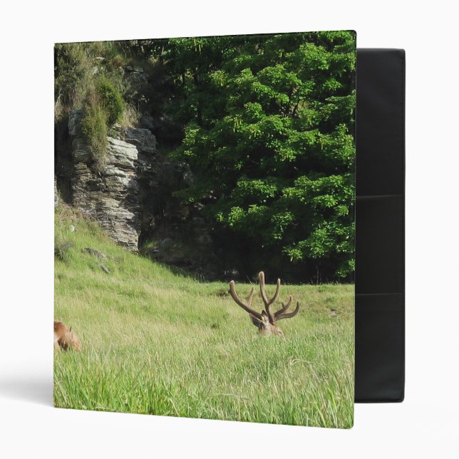 New Zealand Stags Binder (Front/Inside)