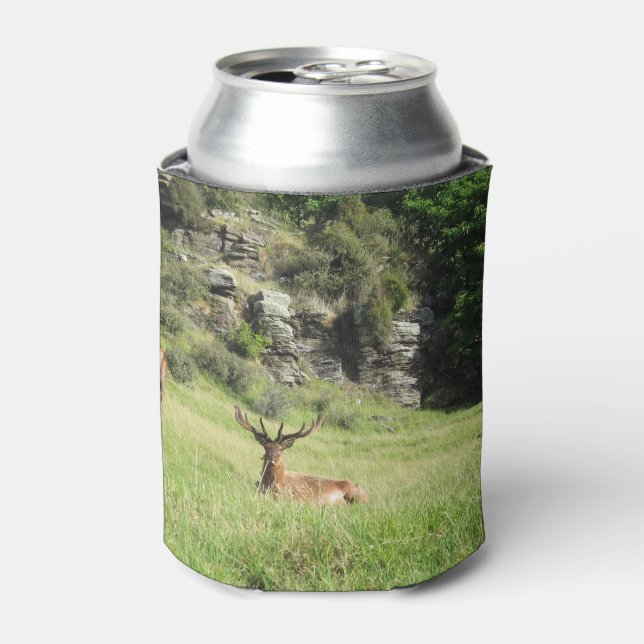 New Zealand Stags Can Cooler (Can Front)