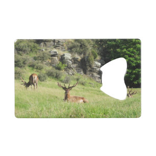 New Zealand Stags Credit Card Bottle Opener