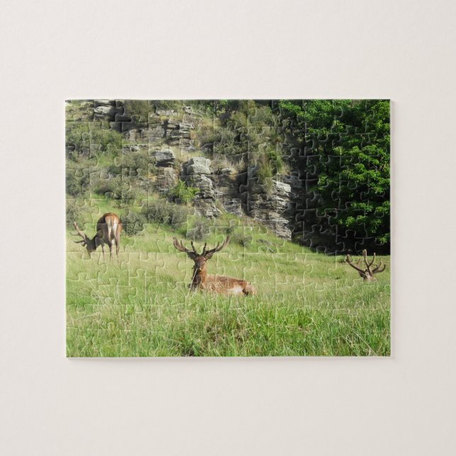 New Zealand Stags Jigsaw Puzzle (Horizontal)
