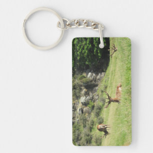 New Zealand Stags Keychain