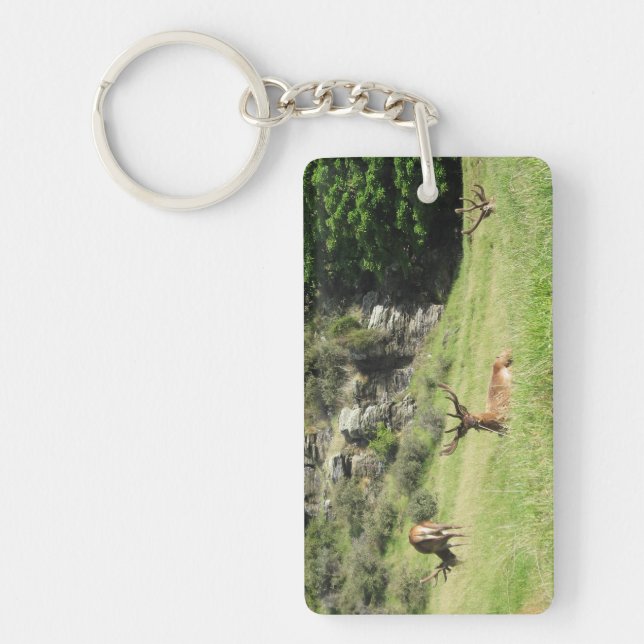 New Zealand Stags Keychain (Front)